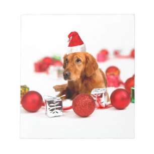 Bloc-note Golden Retriever Chien W Red Santa Chapel Noël