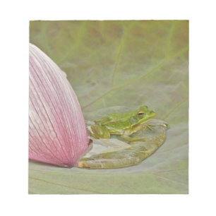 Bloc-note Grenouille et pétale de fleur de lotus, Chine,
