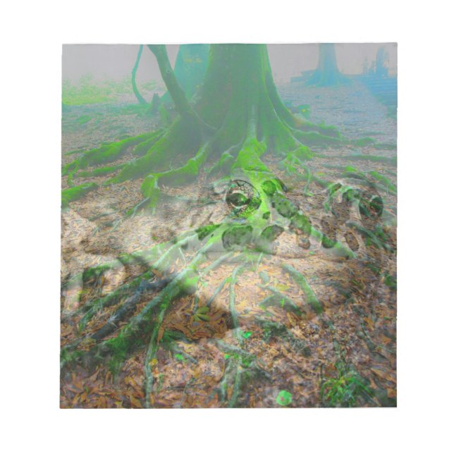 Bloc-note Grenouille mousseuse (Devant)