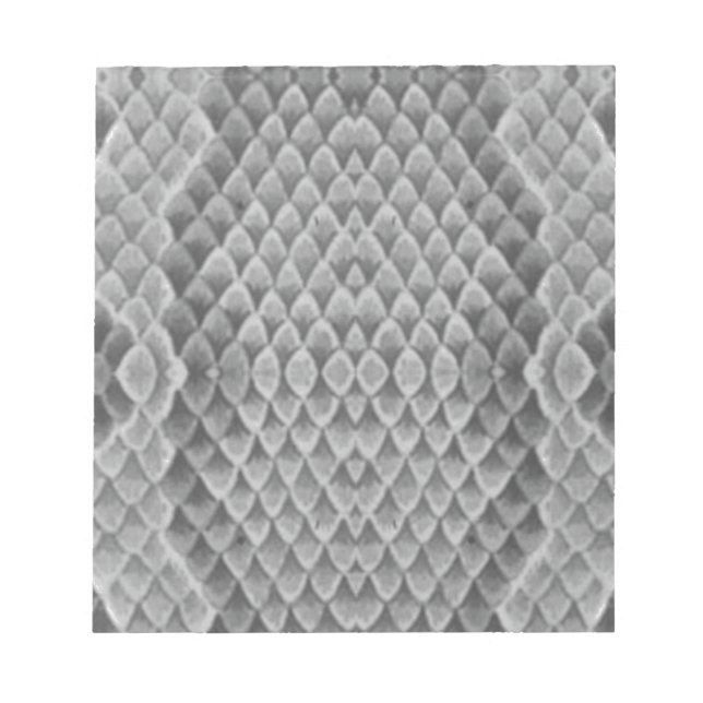 Bloc-note Grey Snakeskin (Devant)
