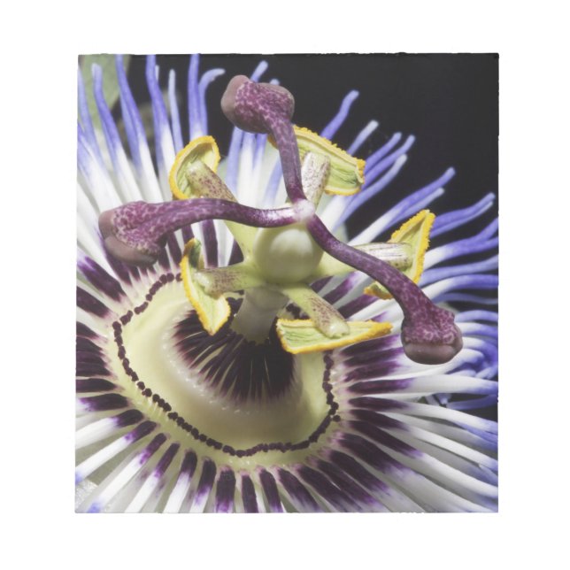 Bloc-note Gros plan de Passionflower (MR) (Devant)