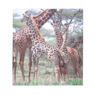 Bloc-note Groupe de girafes ou troupeau avec jeunes, Giraffa