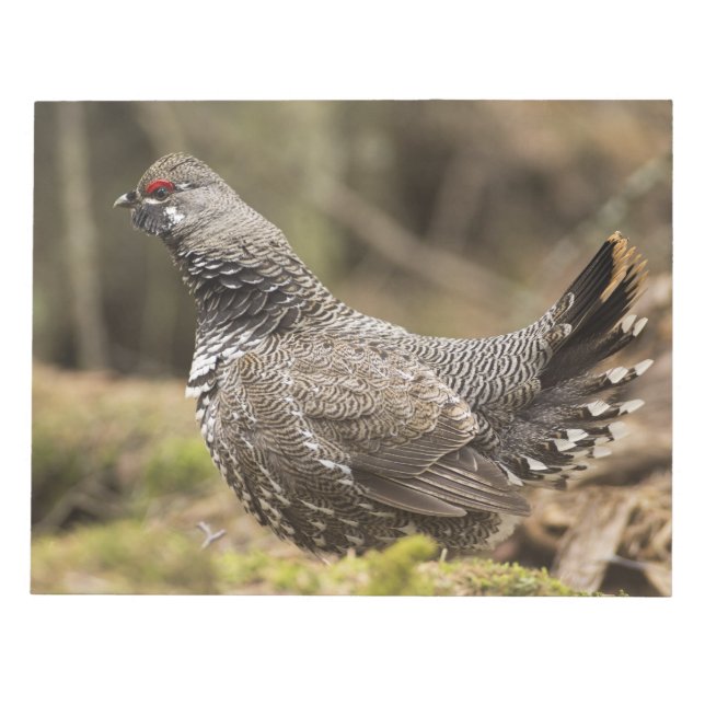 Bloc-note Groupement fier (Devant)