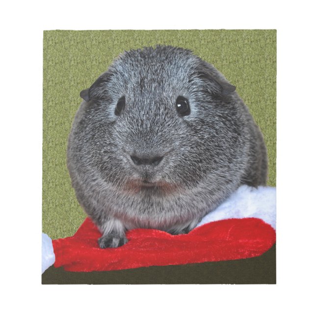 Bloc-note Guinea Pig Christmas (Devant)