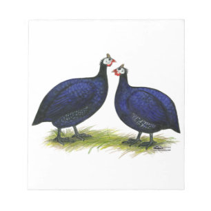 Bloc-note Guineas Royal Purple Pair