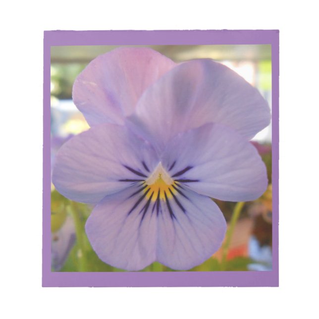 Bloc-note Haetzlern (Devant)