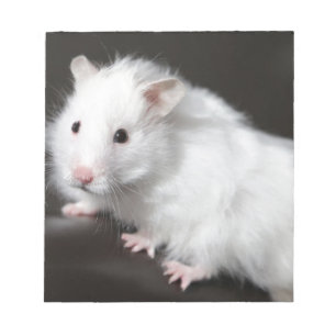 Bloc-note Hamster d'ours de nounours