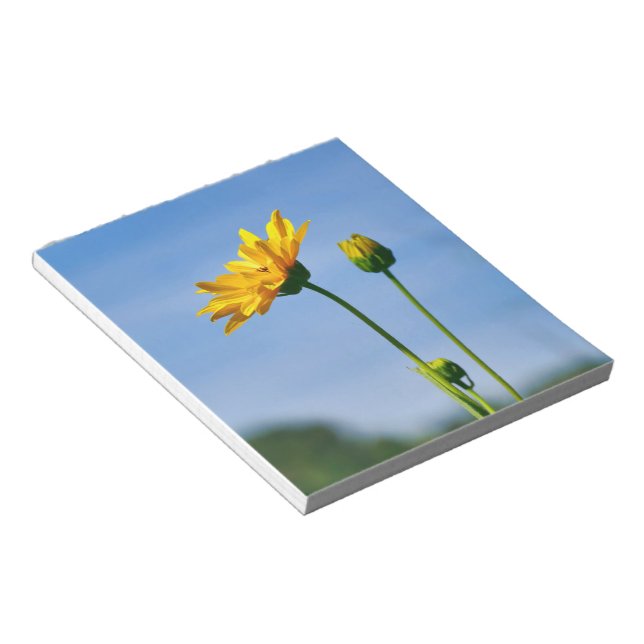 Bloc-note Hélénium de marguerite jaune (Incliné)