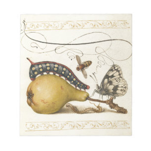 Bloc-note Hoefnagel Vintage Poire & Insectes 1500 Renaissanc
