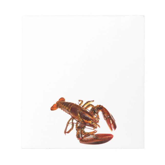 Bloc-note Homard (Devant)