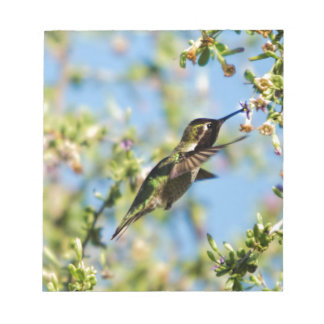 Bloc-note Humming Bird