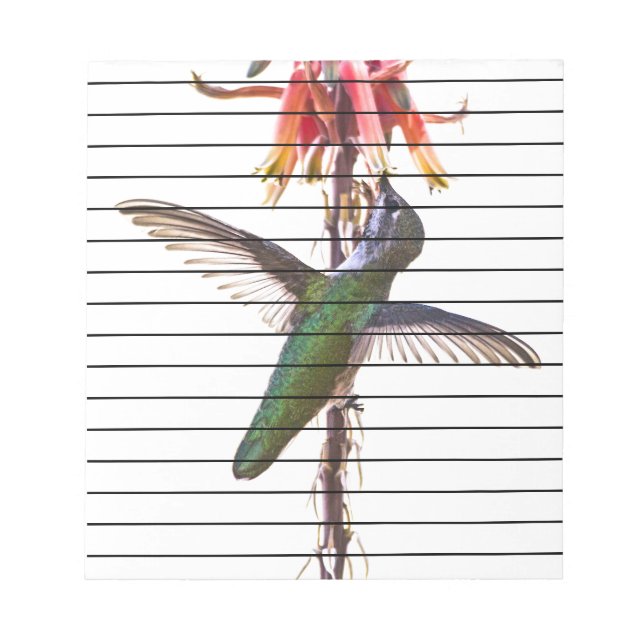 Bloc-note Hummingbird wings (Devant)