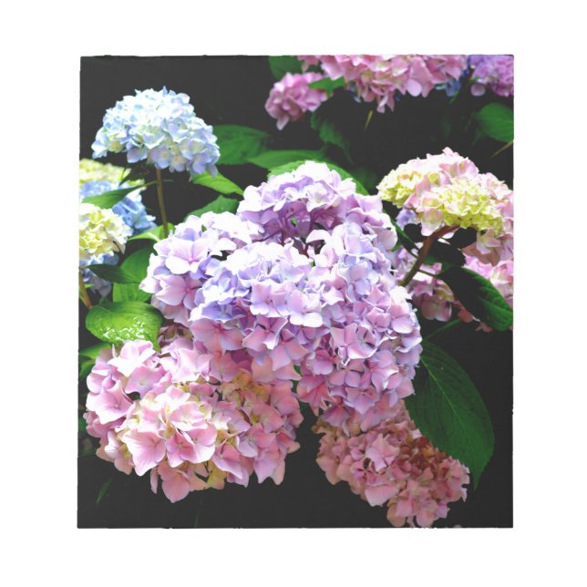 Bloc-note Hydrangea garden, rose, bleu, purple floral (Devant)