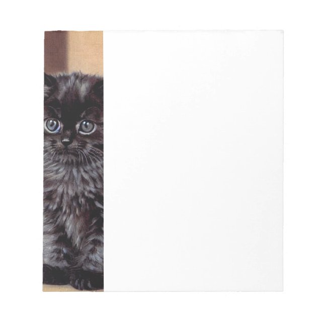Bloc-note Illustration vintage Halloween Black Kitten (Devant)