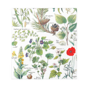 Bloc-note Illustrations botaniques