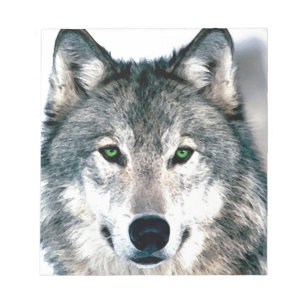 Bloc-note Impression animalière de loup aux yeux sauvages