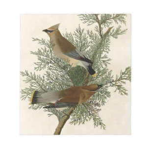 Bloc-note Impression d'oiseau de John James Audubon Jaseur b