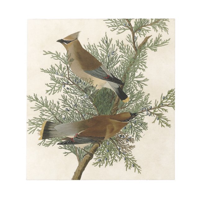 Bloc-note Impression d'oiseau de John James Audubon Jaseur b (Devant)