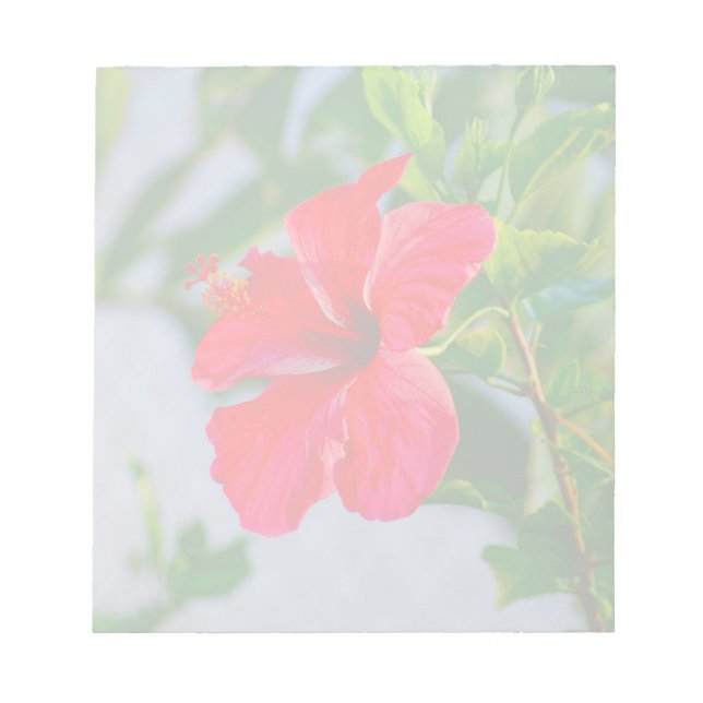 Bloc-note Impression florale HIbiscus tropical (Devant)