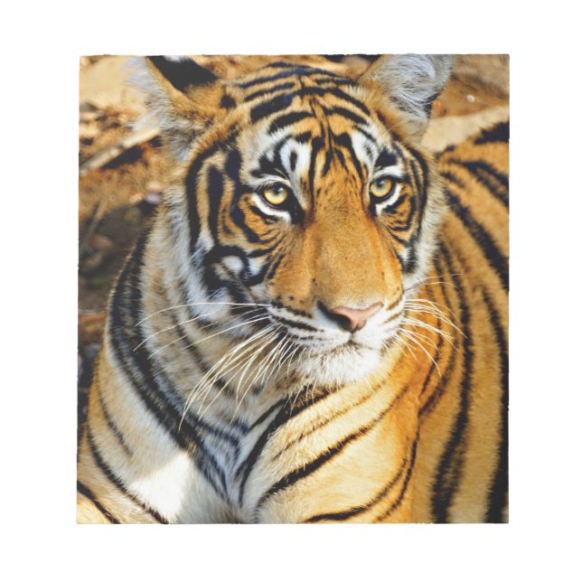 Bloc-note Inde, Sawai Madhopur, Ranthambore National (Devant)