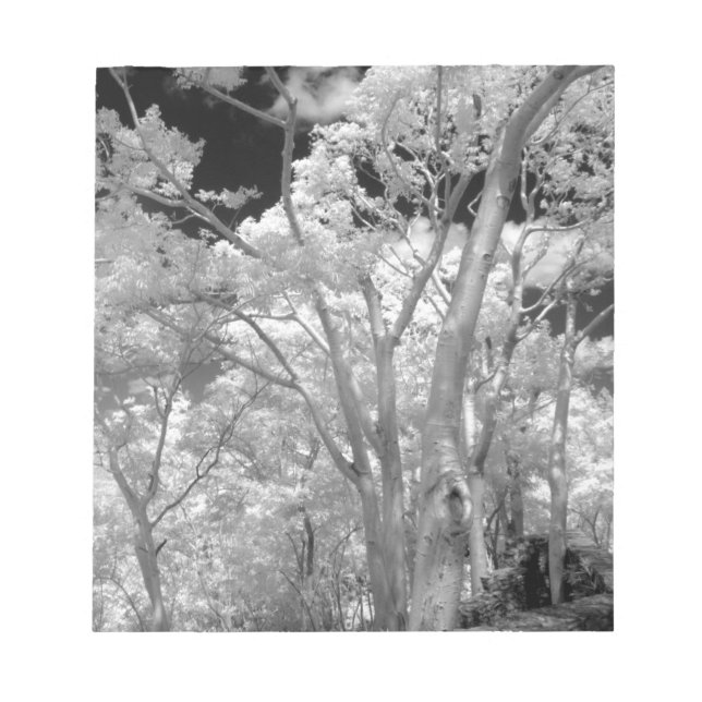 Bloc-note Infrarouge d'arbres bâtiments et sentiers à Las 2 (Devant)