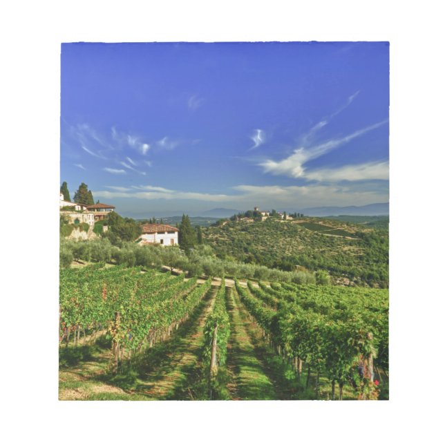 Bloc-note Italie, Toscane, Greve. Les vignobles de Castello (Devant)
