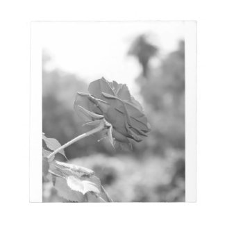 Bloc-note J'ai choisi Me Rose