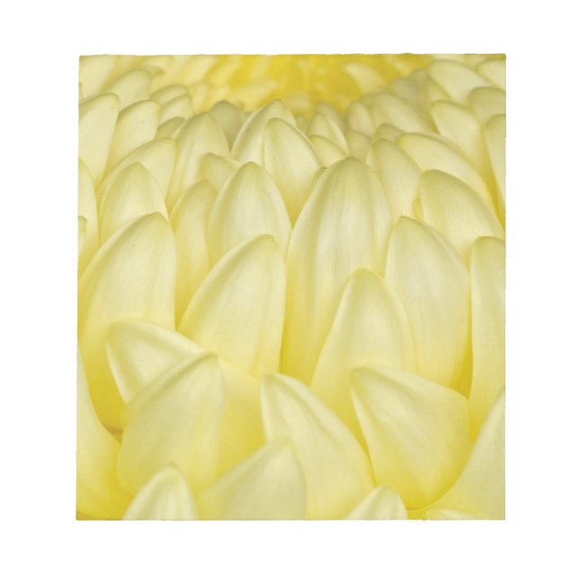 Bloc-note Japon, Mie, sanctuaire d'Ise, chrysanthème (Devant)