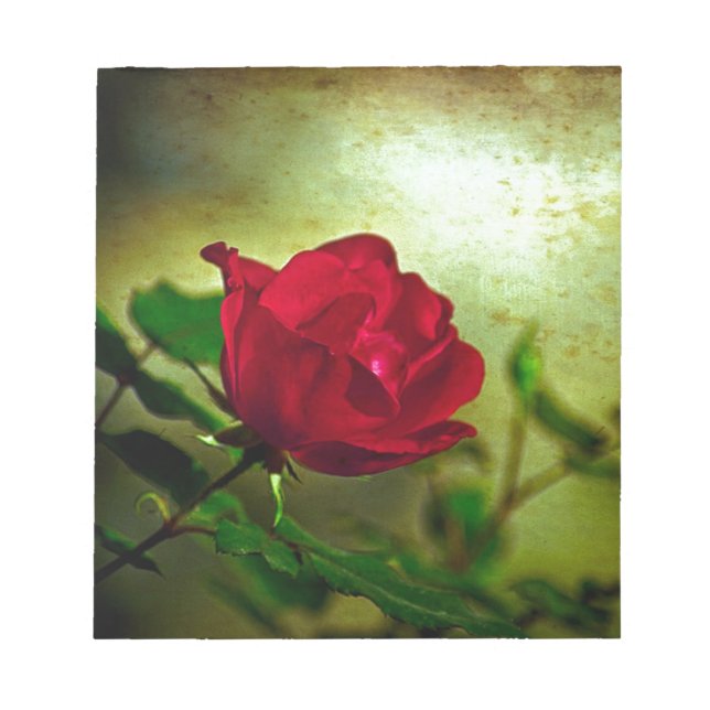 Bloc-note Jardin mystique Saint-Valentin gothique Rouge Rose (Devant)