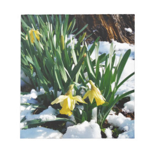 Bloc-note Jaune Daffodils fleurs dans la neige