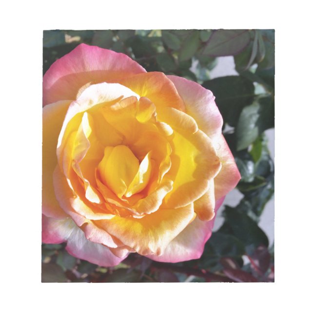 Bloc-note jaune et rose (Devant)