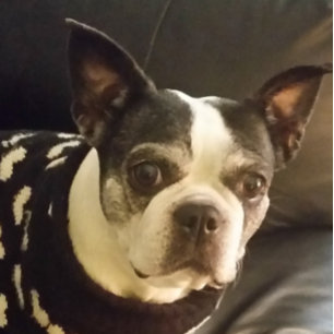 Bloc-note Jesus Suivez-Moi Bloc-notes, Noël, Cadeaux, Unique