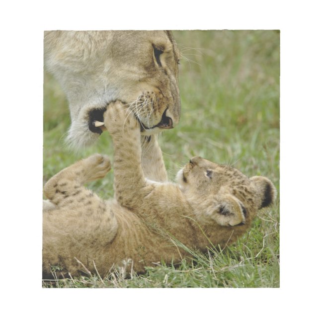 Bloc-note Jeune lion jouant (Devant)