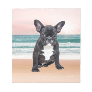 Bloc-note Joli Bouledogue Français Plage Soleil Eau