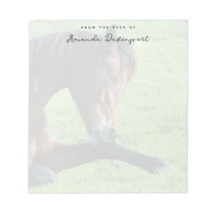 Bloc-note Joli Cheval Brown allongé dans l'herbe