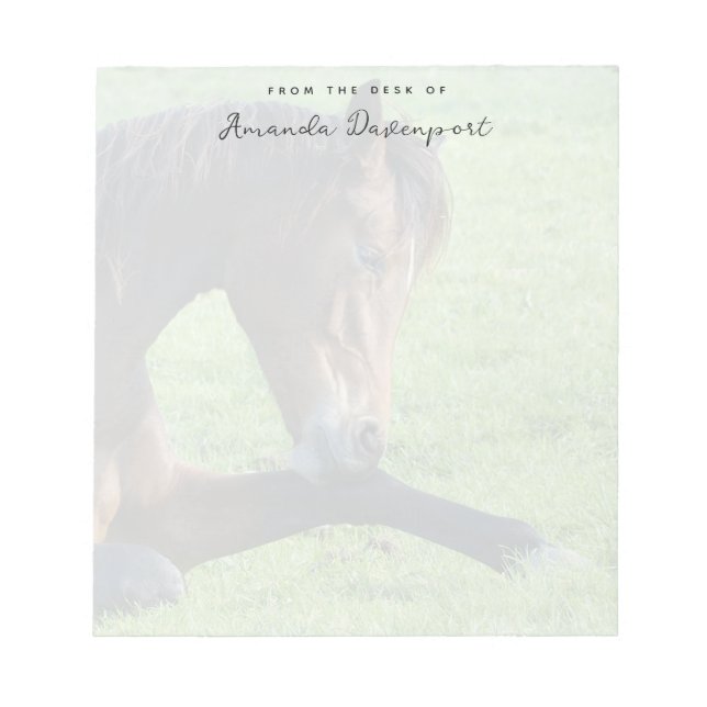 Bloc-note Joli Cheval Brown allongé dans l'herbe (Devant)