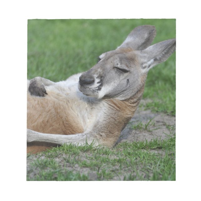 Bloc-note Kangaroo à dos (Devant)