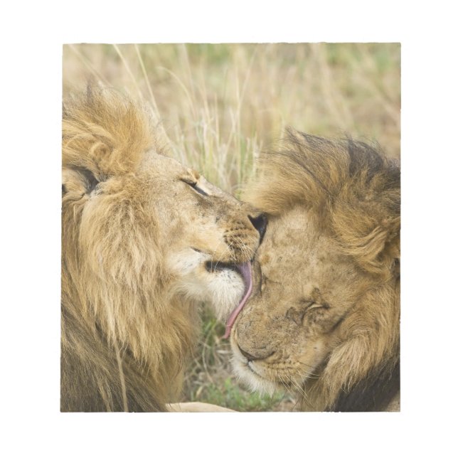 Bloc-note Kenya, Masai Mara (Devant)