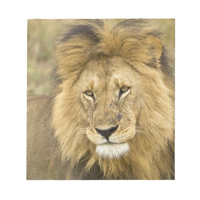 Bloc-note Kenya Masai Mara (Devant)