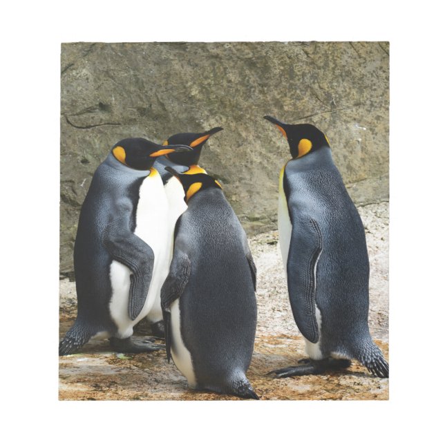 Bloc-note King Penguin (Devant)