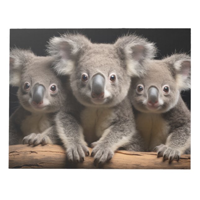 Bloc-note Koala Wild Animal Portrait Nature Beauté (Devant)