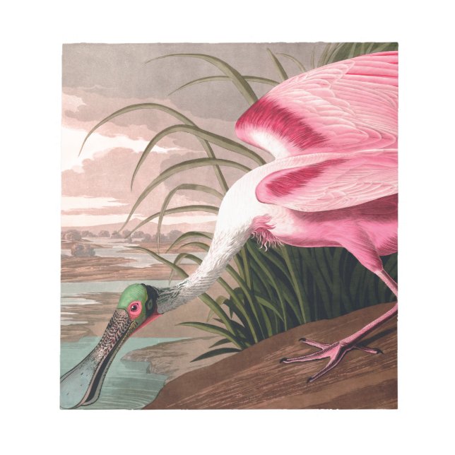 Bloc-note La faune des oiseaux d'Audubon de Spoonbill Roseat (Devant)