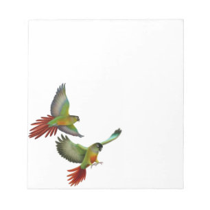 Bloc-note La joue verte Conure Parrots le bloc - notes