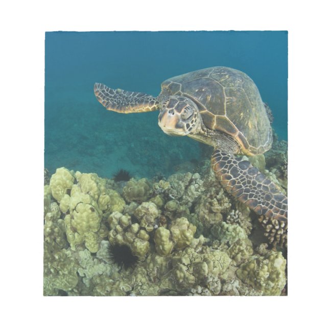 Bloc-note La tortue verte, (Chelonia mydas), est la 2 (Devant)