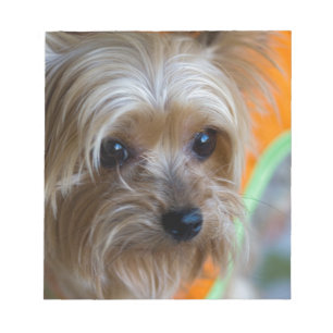 Bloc-note Lady Yorkshire Terrier Puppy