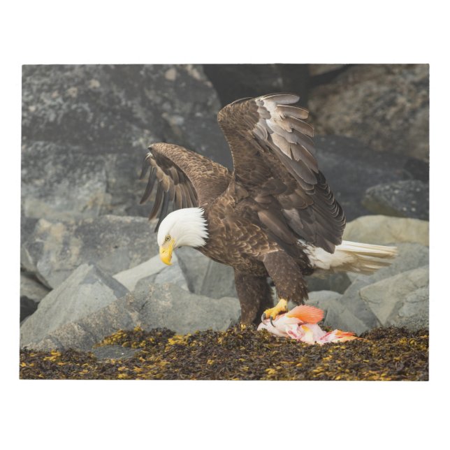 Bloc-note L'aigle chauve ultime (Devant)