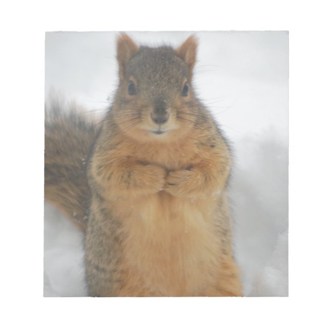 Bloc-note L'amour des écureuils (Devant)