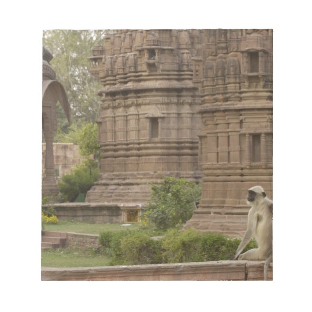 Bloc-note Langurs d'Hanuman ou langur commun (Devant)