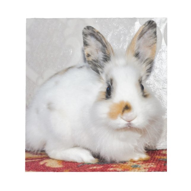 Bloc-note Lapin de Pâques (Devant)