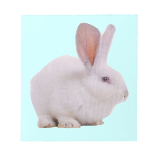 Bloc-note Lapin Mignon Kawaii (Devant)